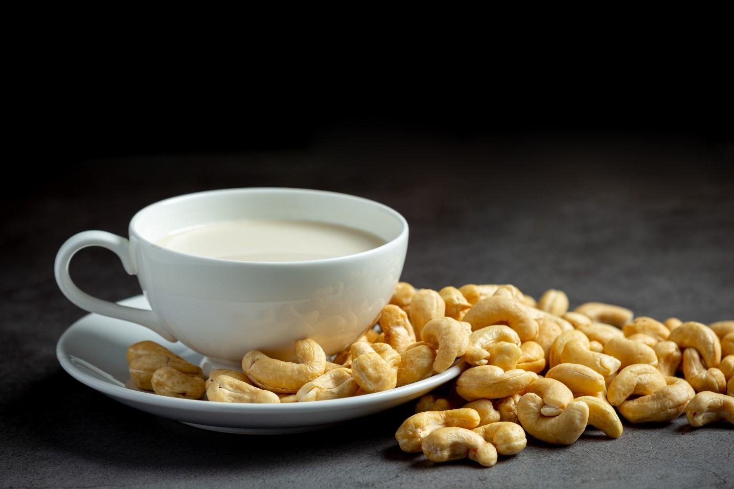 Cashew plantation